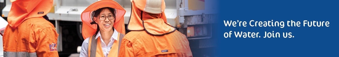 Imagery of Interflow