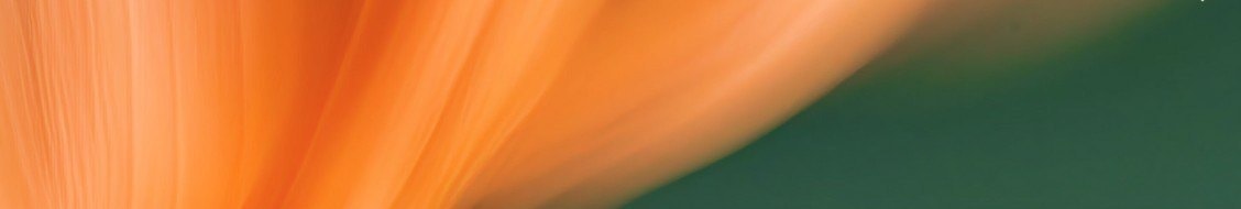 Imagery of Giant Leap