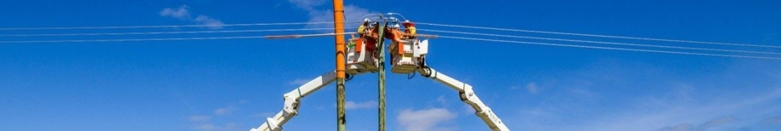 Imagery of TasNetworks